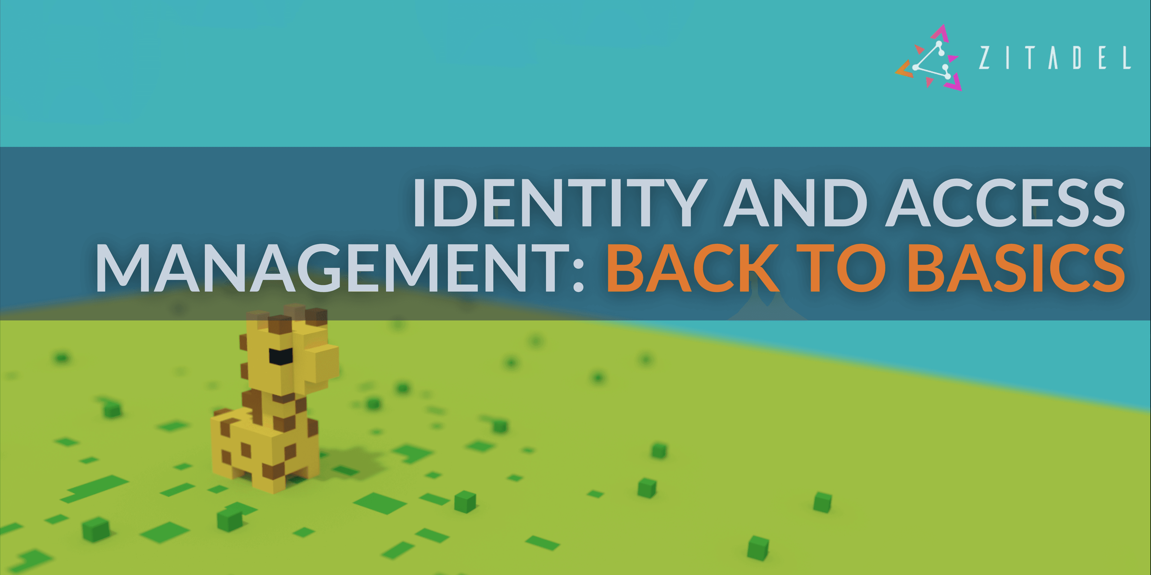 Understanding Identity and Access Management basics preview image